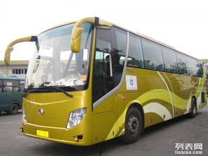 圖 成都早租車公司 原裝豐田考斯特15座一23座 成都租車